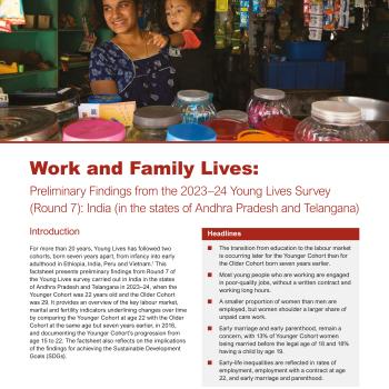 Work and Family Lives India Factsheet